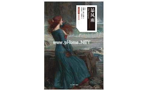 暴风雨之夜作文（精选80篇）