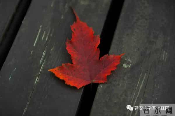 微信图片_20211028165001.jpg 微信图片_20211028165001.jpg