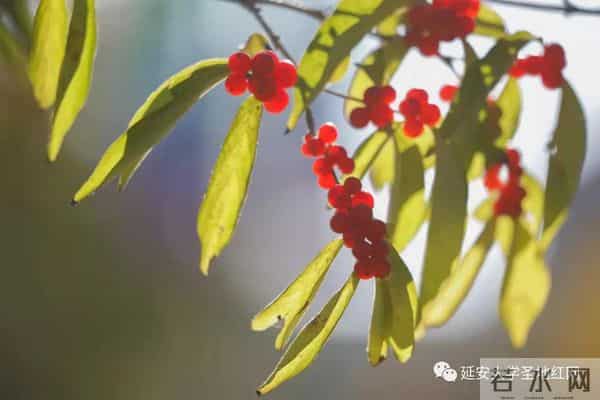 微信图片_20211028164838.jpg 微信图片_20211028164838.jpg