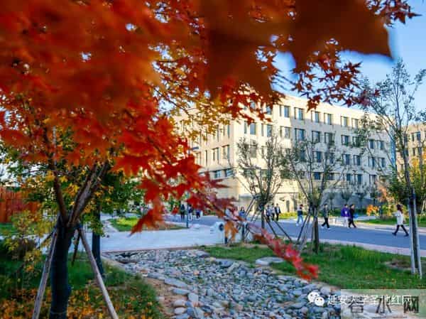 微信图片_20211028164757.jpg 微信图片_20211028164757.jpg