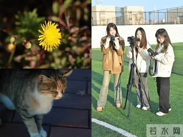 微信图片_20241129141644.jpg 微信图片_20241129141644.jpg