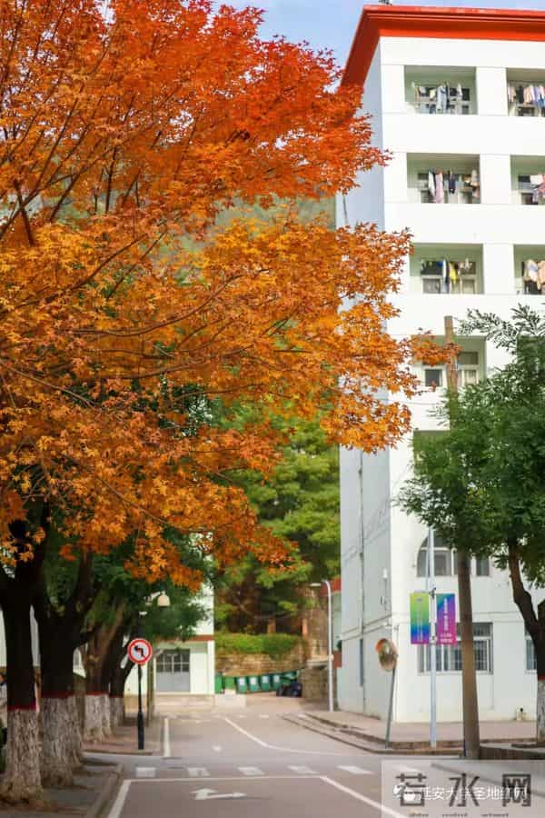 微信图片_20211028164955.jpg 微信图片_20211028164955.jpg