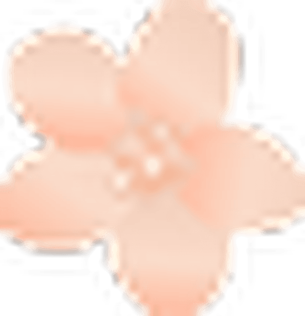 赓续教育世家血脉——记西北政法大学刘文沛老师一家