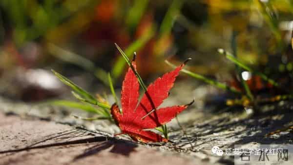 微信图片_20211028165012.jpg 微信图片_20211028165012.jpg