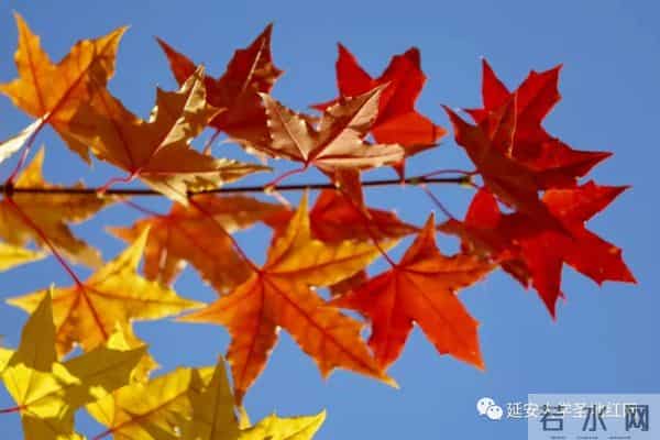 微信图片_20211028164921.jpg 微信图片_20211028164921.jpg