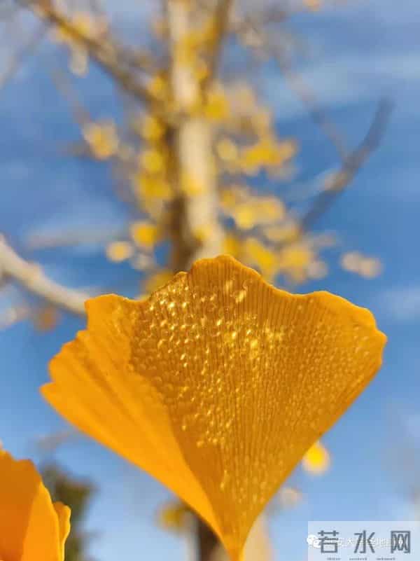 微信图片_20211028164731.jpg 微信图片_20211028164731.jpg