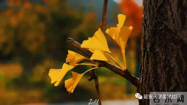 微信图片_20211028164804.jpg 微信图片_20211028164804.jpg