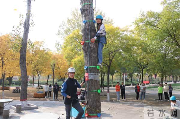 挑战垂直极限 刺激攀树体验