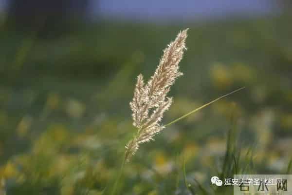 微信图片_20211028164706.jpg 微信图片_20211028164706.jpg