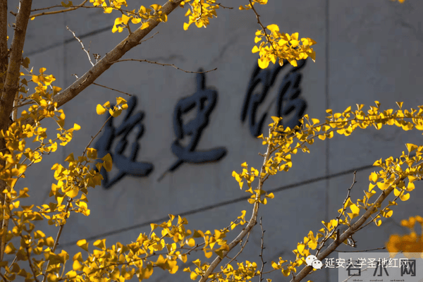 微信图片_20211028164823.png 微信图片_20211028164823.png