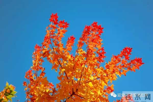 微信图片_20211028164938.jpg 微信图片_20211028164938.jpg