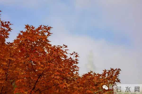 微信图片_20211028164916.jpg 微信图片_20211028164916.jpg