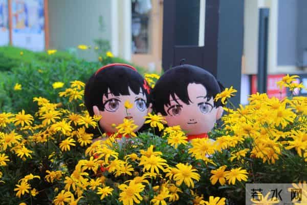 undefined IMG_3494.JPG