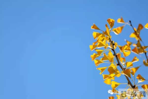 微信图片_20211028164720.jpg 微信图片_20211028164720.jpg