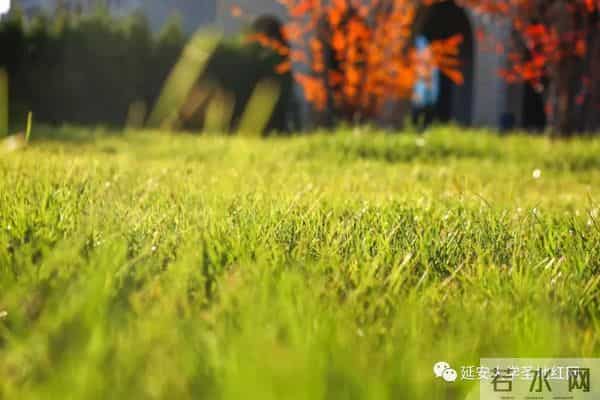 微信图片_20211028164845.jpg 微信图片_20211028164845.jpg