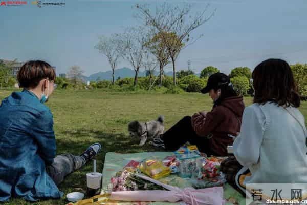 微信图片_20210301221121.jpg 微信图片_20210301221121.jpg