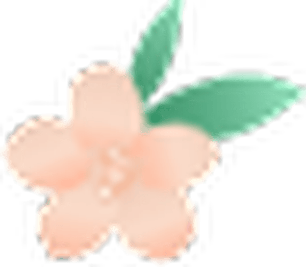 你想念河北大学了吗？