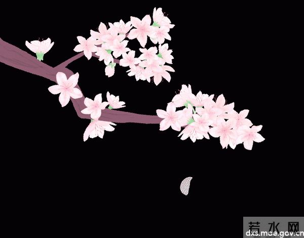 【师院烟火气】校园春色，诗情“花”意