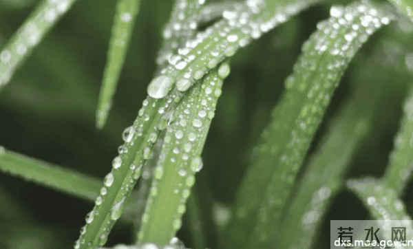 谷雨之时，天降甘霖，归忆往昔~
