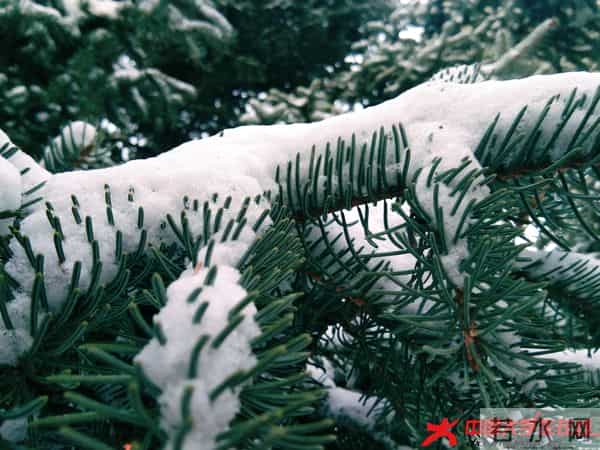 515c81822c8115b59834bdf5e31a490.jpg 515c81822c8115b59834bdf5e31a490.jpg