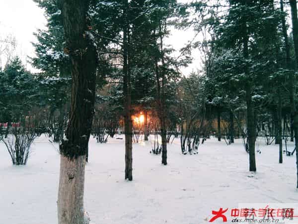 fd06a3ef8d239dbe5fe0805732e7d48.jpg fd06a3ef8d239dbe5fe0805732e7d48.jpg