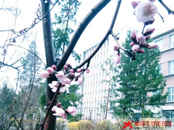 f3e521289f5f46a918e9782f86e5afc.jpg f3e521289f5f46a918e9782f86e5afc.jpg