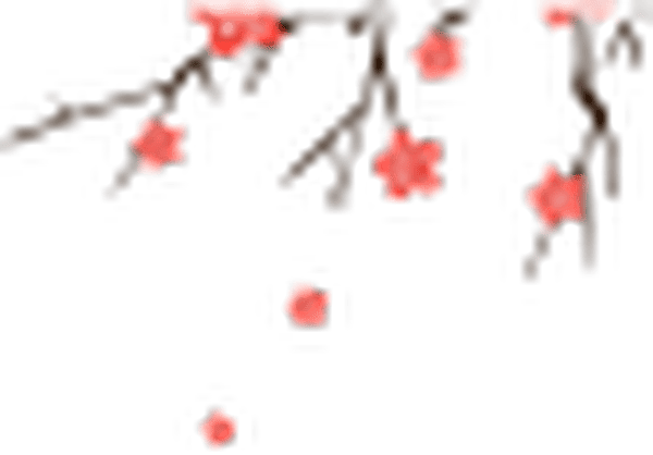 河北大学组织师生“同上党史思政大课”