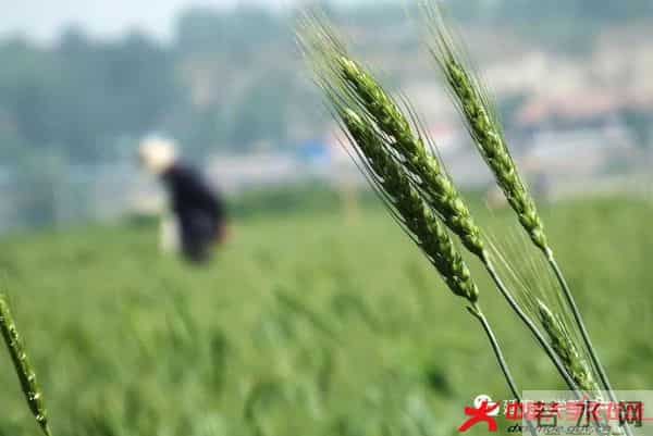 微信图片_20210521232415.jpg 微信图片_20210521232415.jpg