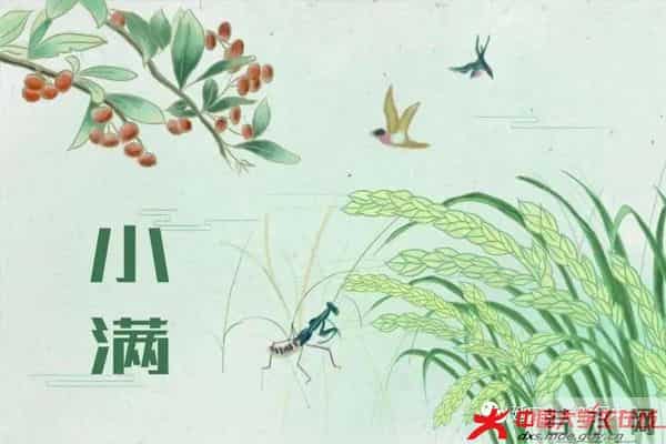 微信图片_20210521232809.jpg 微信图片_20210521232809.jpg