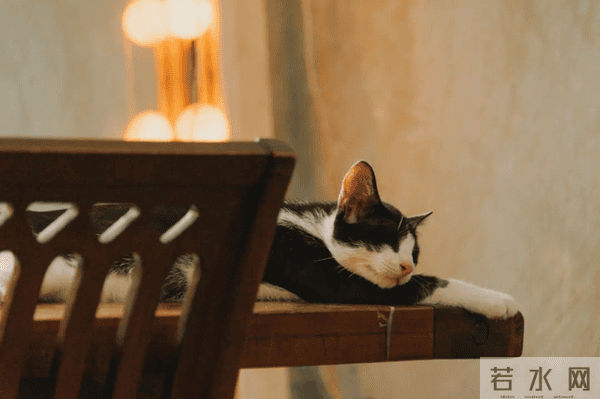 大胆躺平，妥妥的大胆躺平，妥妥的