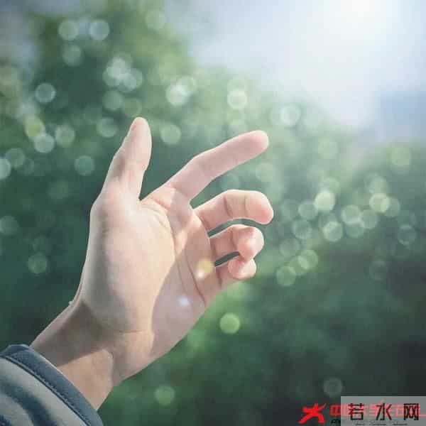 4.webp.jpg 4.webp.jpg