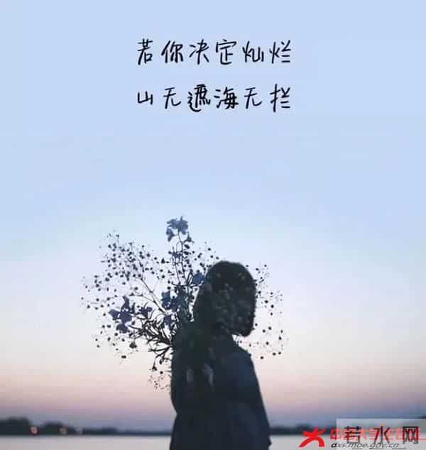 6.webp.jpg 6.webp.jpg