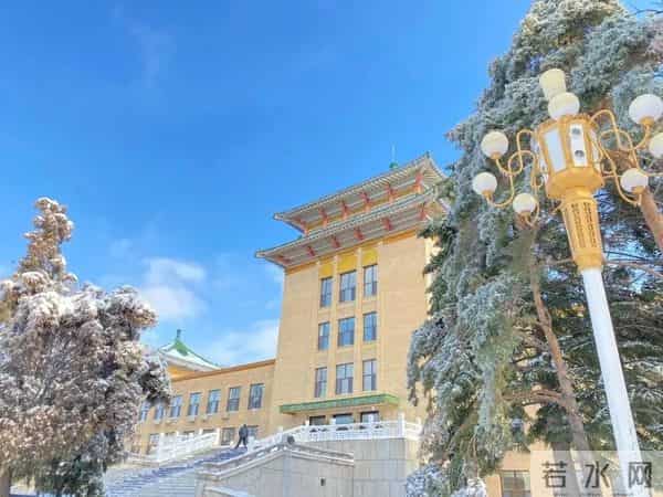 95后辅导员与00后大学生的思想碰撞