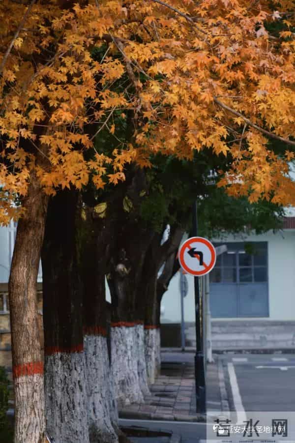 微信图片_20211028164751.jpg 微信图片_20211028164751.jpg