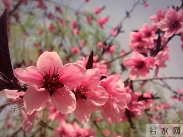 疫情过后，毕业生如何进行就业心理调适