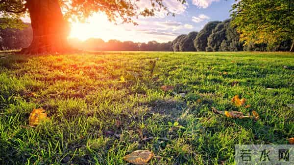 写给小萌新：入学后如何快速度过心理适应期