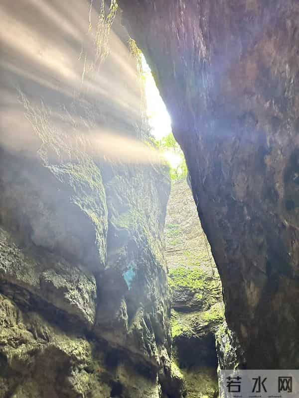 当代大学生心理健康教育创新路线的探析