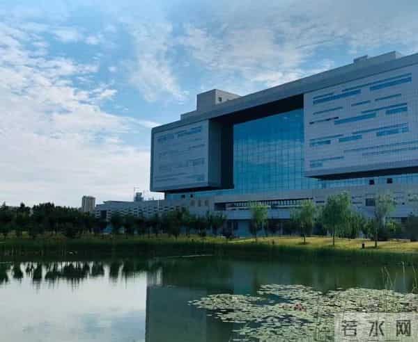 “浓人”or“淡人”，这是什么2024年最新人设？