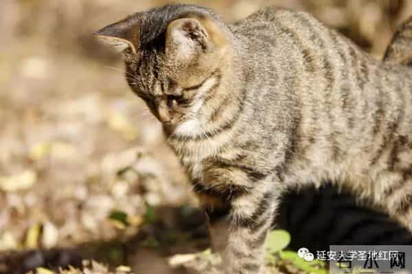 微信图片_20211028164712.jpg 微信图片_20211028164712.jpg