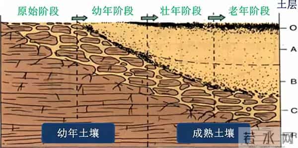 MOOC一起学-土壤学(岩石风化与土壤形成)