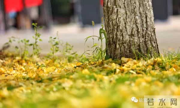 微信图片_20211028164651.jpg 微信图片_20211028164651.jpg