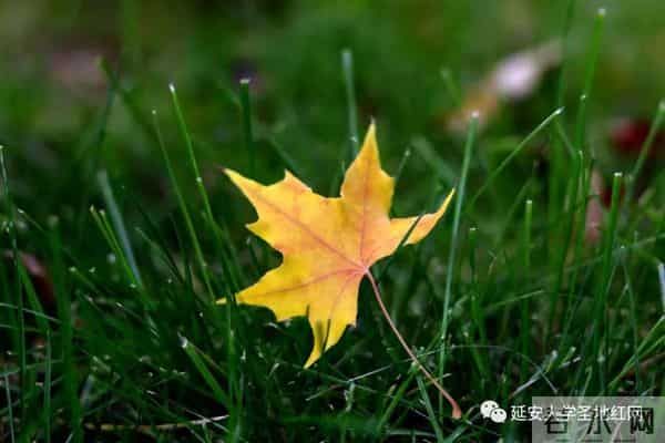 微信图片_20211028165007.jpg 微信图片_20211028165007.jpg