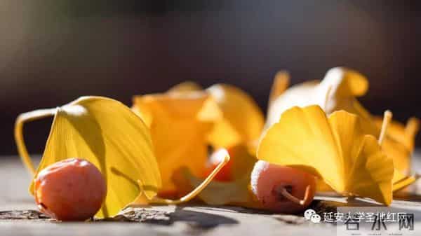 微信图片_20211028164809.jpg 微信图片_20211028164809.jpg