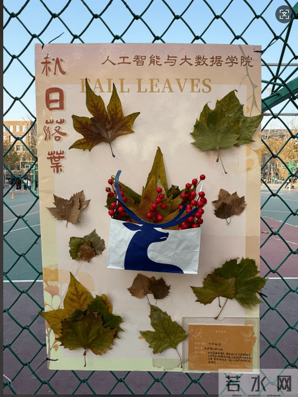 情绪花园的秋收——大学生心理健康成长与自我超越