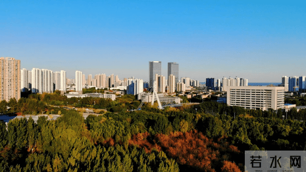 心有灵犀一点通——辅导员的共情秘籍