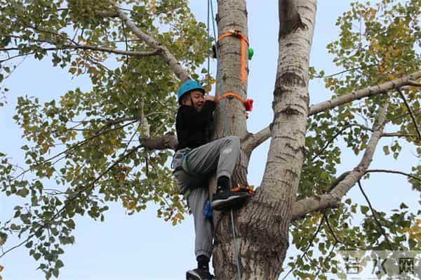 挑战垂直极限 刺激攀树体验——第五届“阳光杯”攀树大赛顺利举办