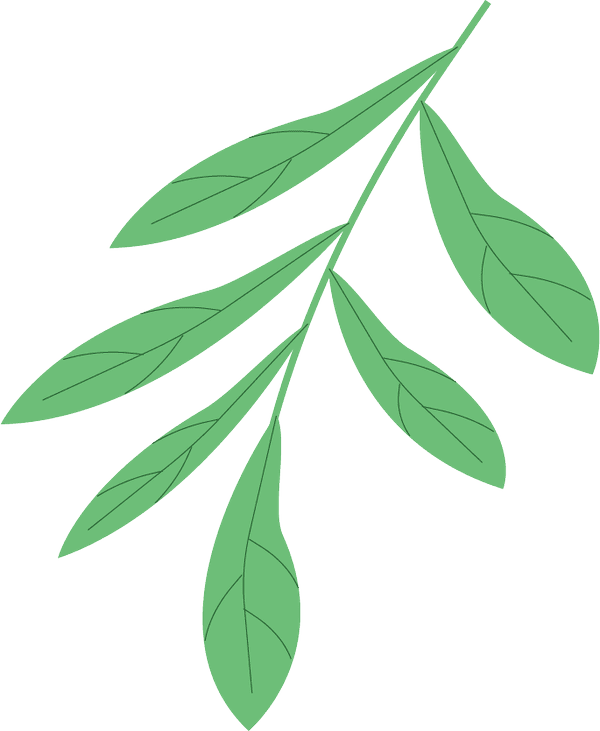 健康生活，从“心”开始，大学生心理知识科普