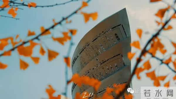 微信图片_20211028164828.jpg 微信图片_20211028164828.jpg