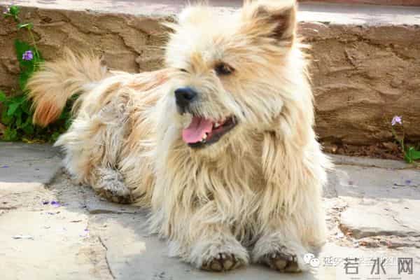 微信图片_20211128222859.jpg 微信图片_20211128222859.jpg