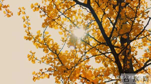 微信图片_20211028164949.jpg 微信图片_20211028164949.jpg